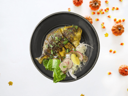 Pamplona Fish